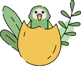 Kakapo